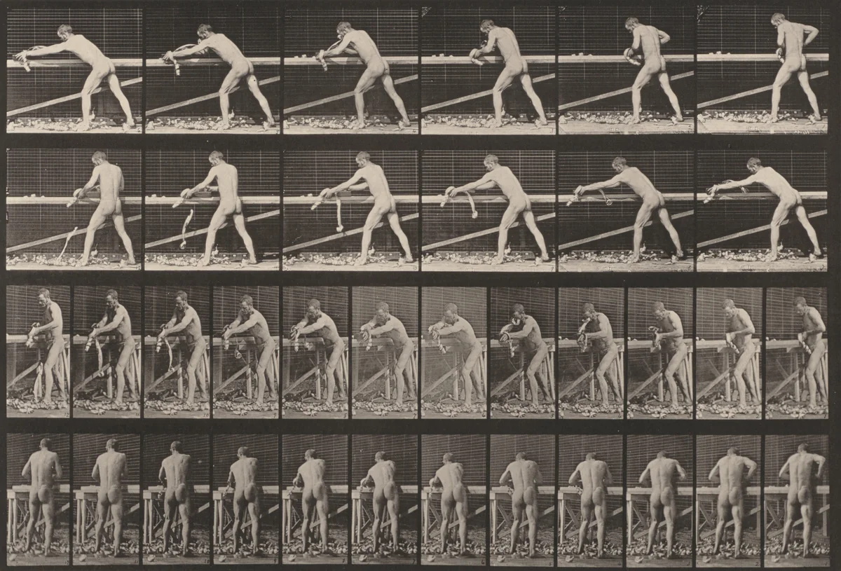 Plate Number 379. Carpenter, planing a board by Eadweard Muybridge, photograph, 1887
