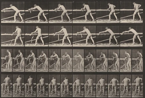 Plate Number 379. Carpenter, planing a board by Eadweard Muybridge, photograph, 1887
