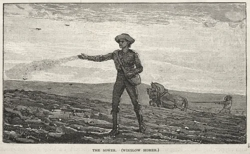 The Sower by Winslow Homer, print, 1878
