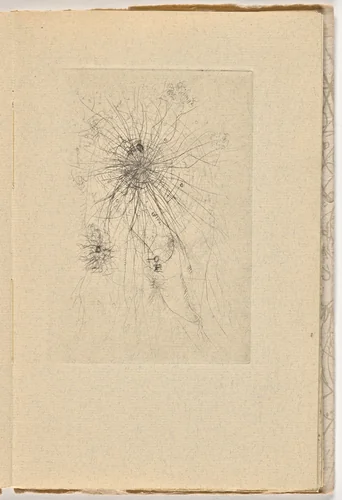 Plate (page 7) from Le Berger d'Écosse, Les Passagers, La Pierre philosophale (The Scottish Sheperd, The Passangers, The Philosopher's Stone) by Wols, illustrated book, 1948