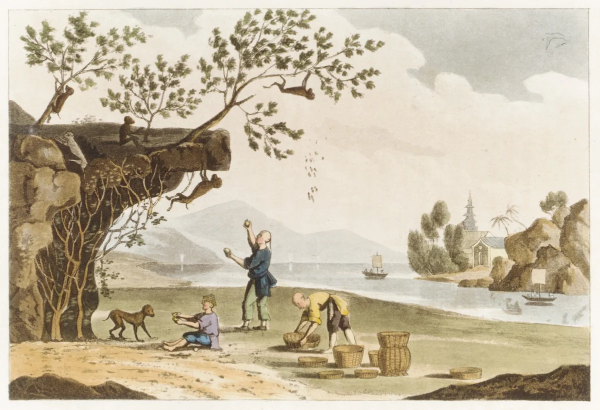 The Repository of Arts, Literature, Fashions, Manufactuers, &c., 2nd series, volume 12 by Rudolph Ackermann, book, 1821