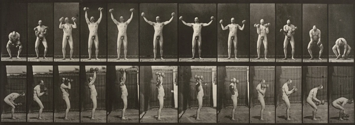 Plate Number 325. Lifting and holding two 50-lb. dumbbells by Eadweard Muybridge, photograph, 1887