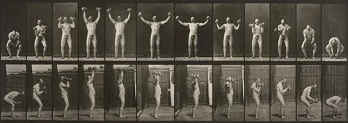 Plate Number 325. Lifting and holding two 50-lb. dumbbells by Eadweard Muybridge, photograph, 1887