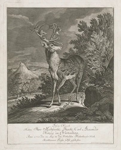 A Magnificent Stag in a Landscape by Johann Elias Ridinger, print, 1735