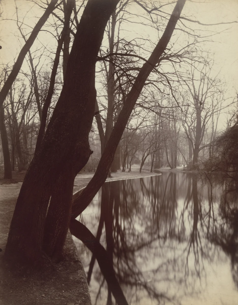 Bois de Boulogne by Eugène Atget, photograph, 1923