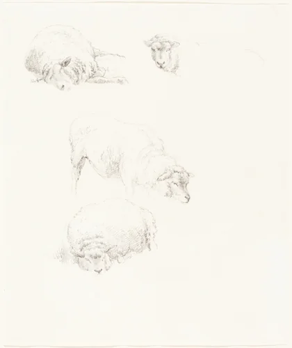 Studies of Sheep by Robert Hills, drawing, 1769-1844