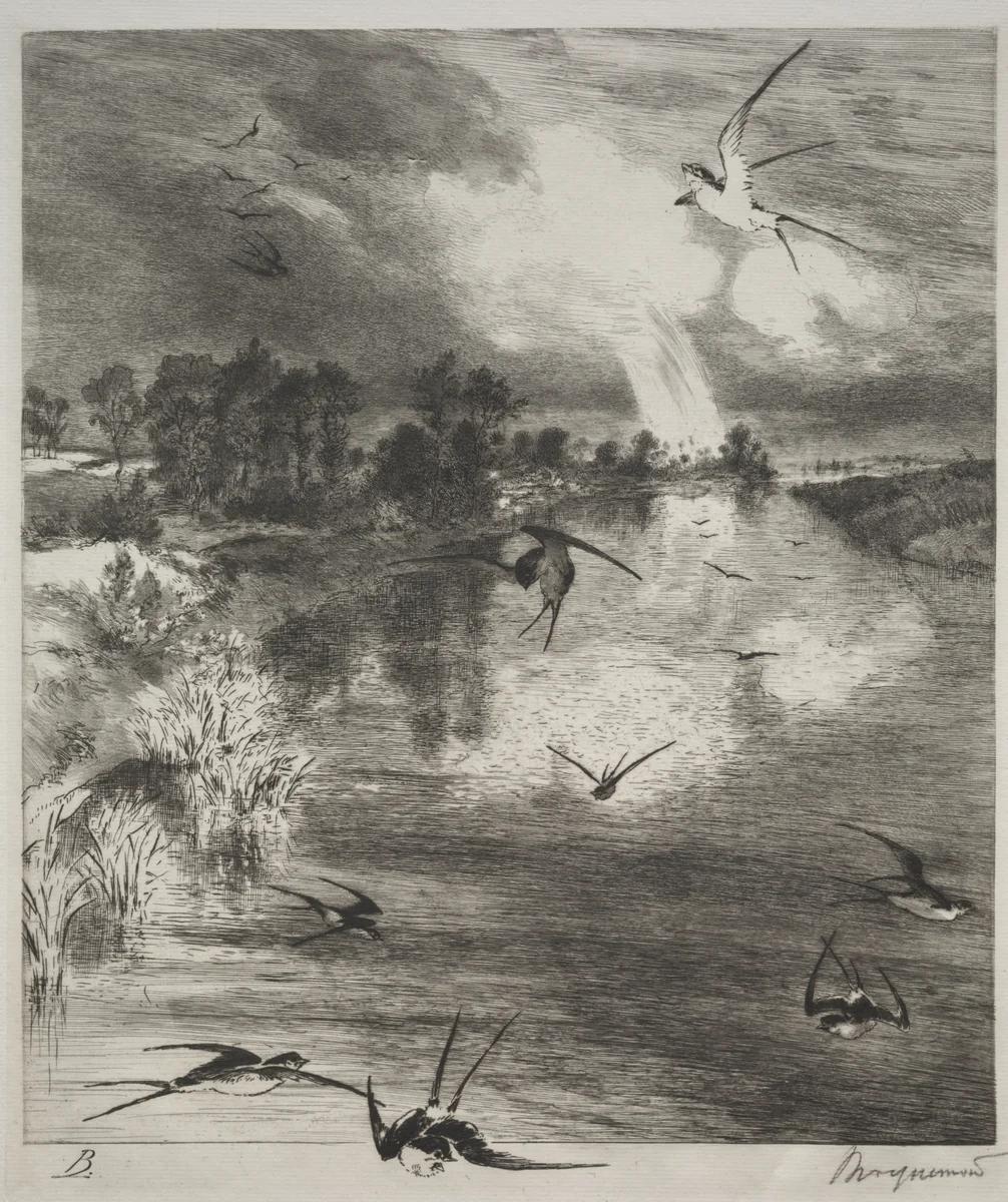 Swallows by Félix Bracquemond, print, 1882