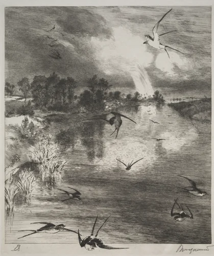 Swallows by Félix Bracquemond, print, 1882