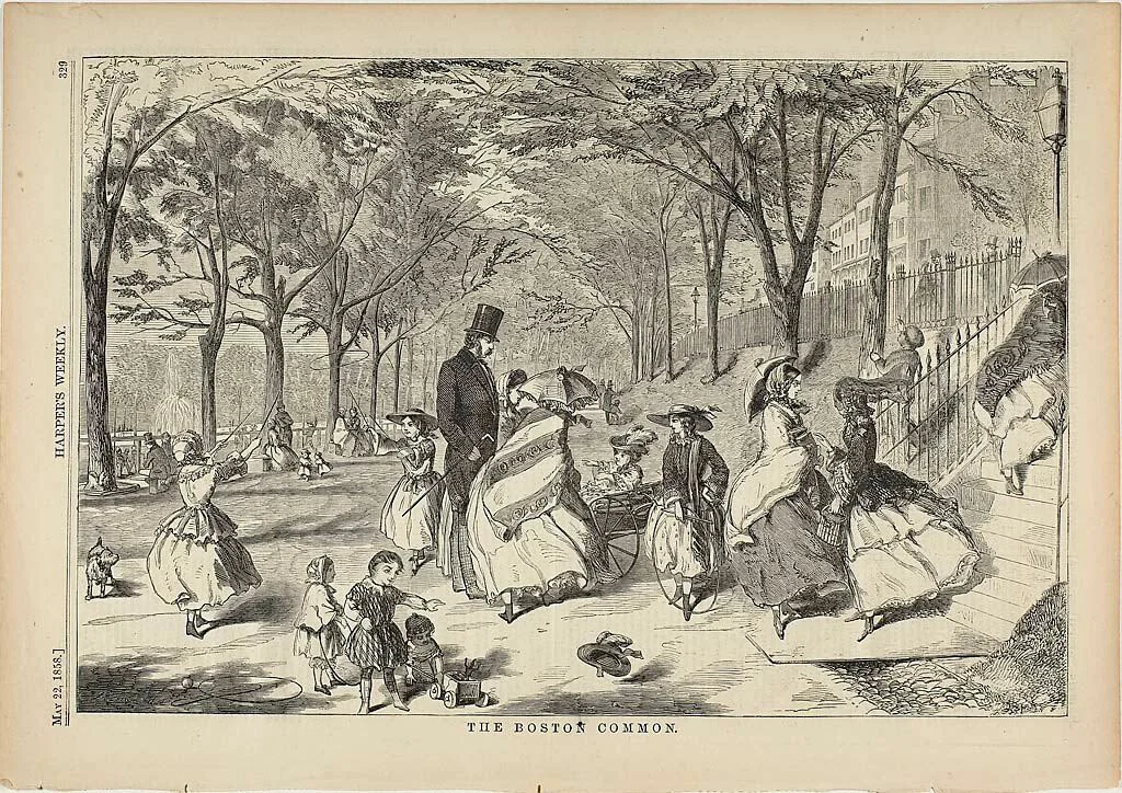The Boston Common by Winslow Homer, print, 1858