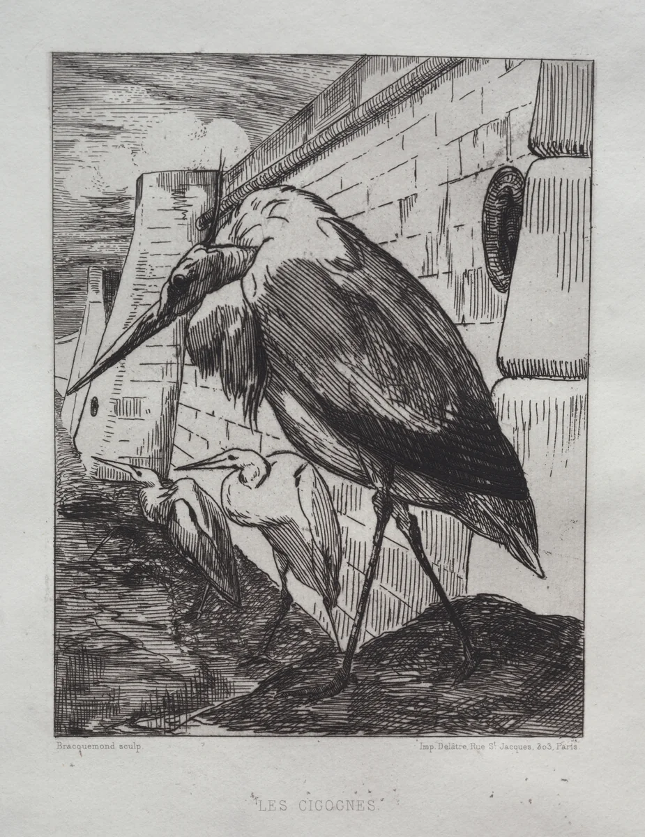 The Storks by Félix Bracquemond, print, 1865