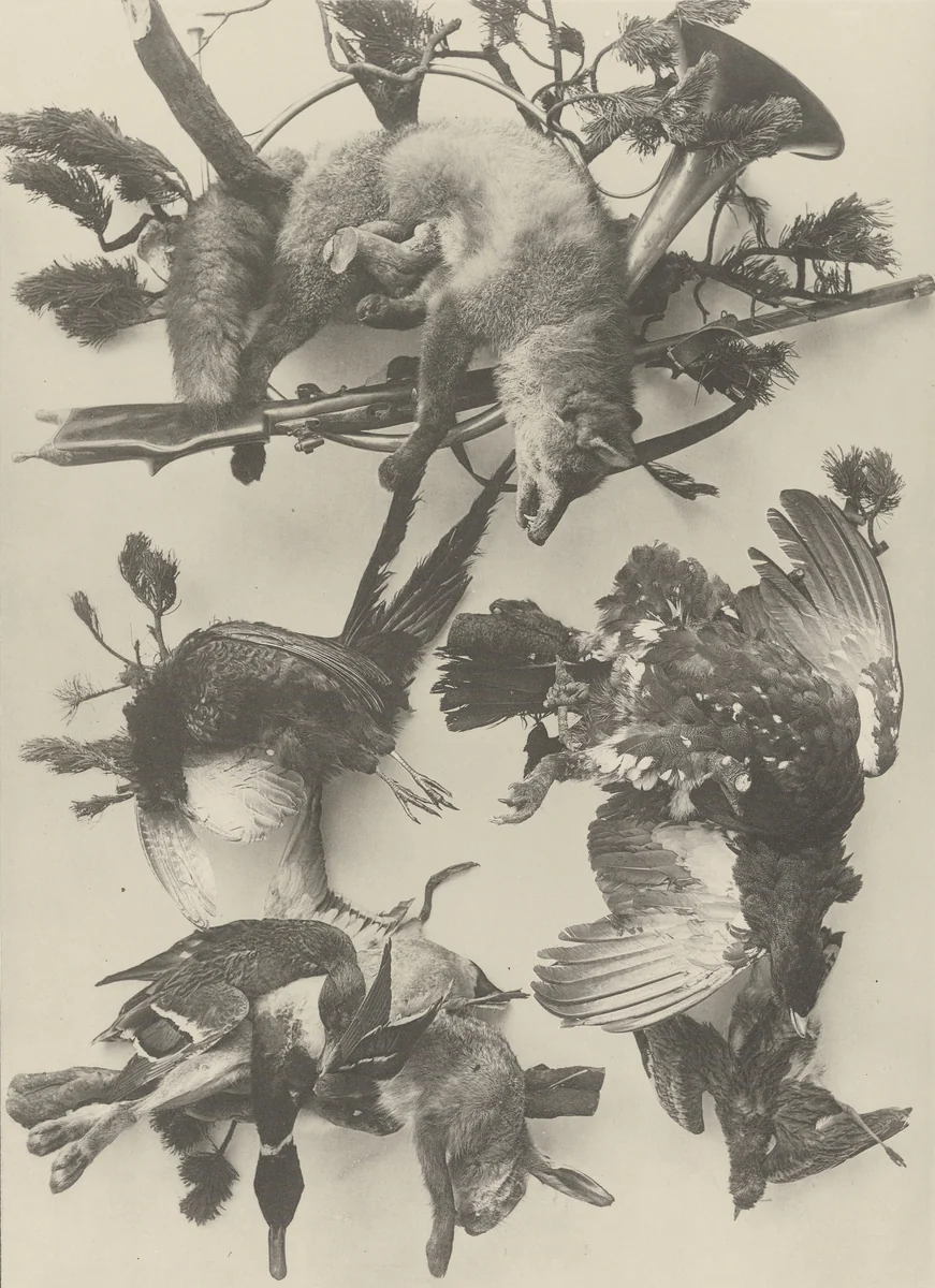 Page from Festons und Dekorative Gruppen by Unidentified Photographer, photograph, 1893