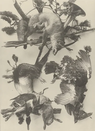 Page from Festons und Dekorative Gruppen by Unidentified Photographer, photograph, 1893