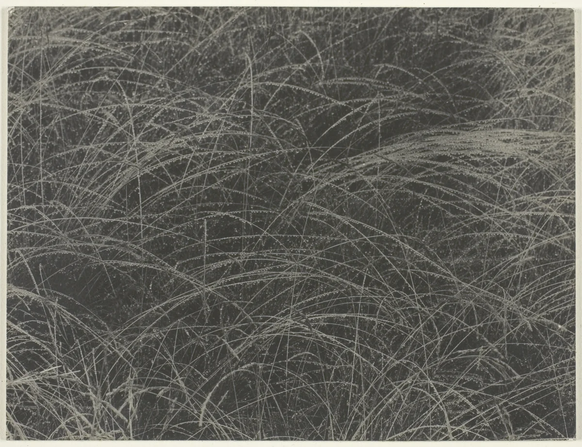 Equivalent by Alfred Stieglitz, photograph, 1927