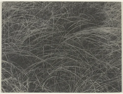 Equivalent by Alfred Stieglitz, photograph, 1927
