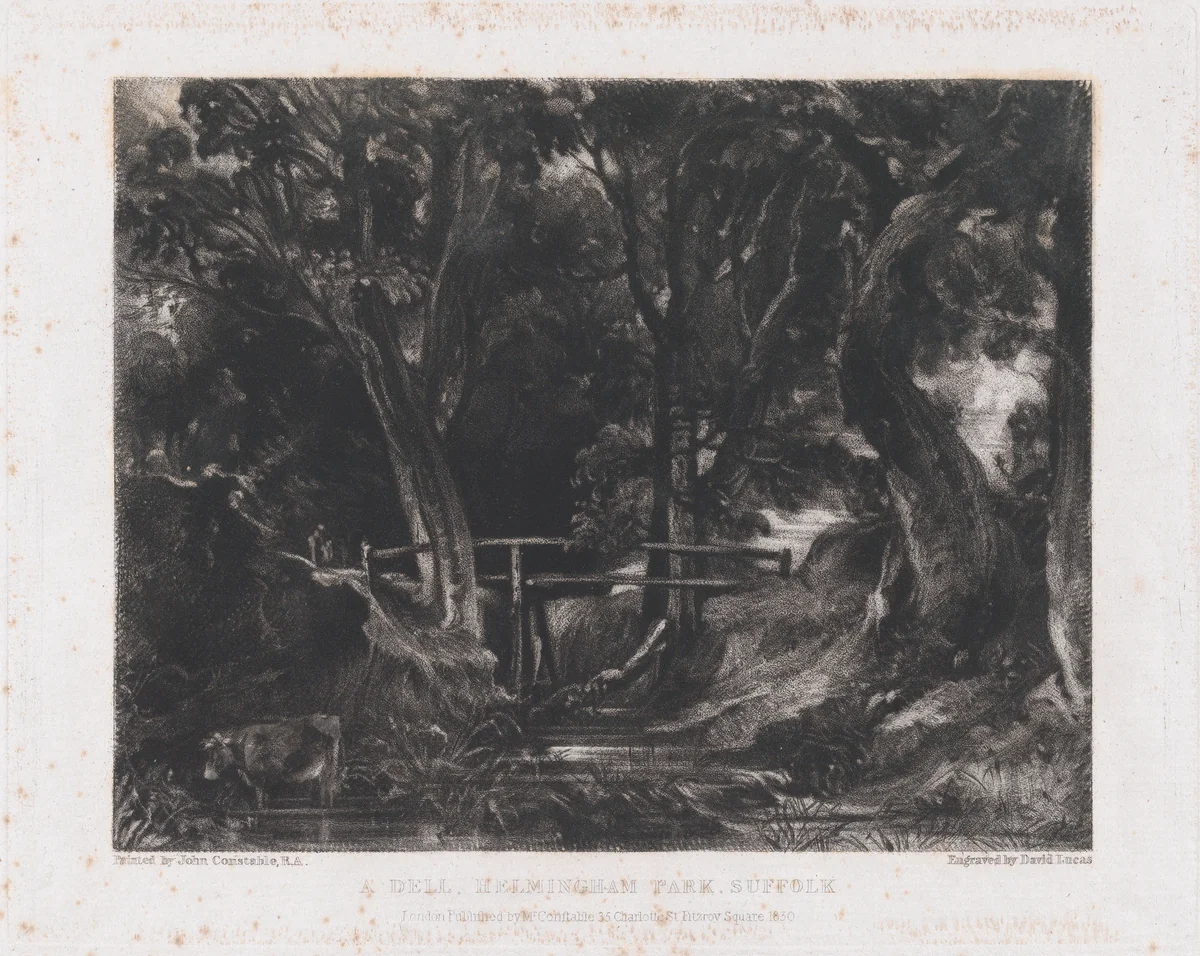 A Dell, Helmingham Park, Suffolk by David Lucas, print, 1830