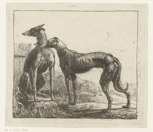 Twee hazewindhonden by Simon de Vlieger, print, 1610-1653