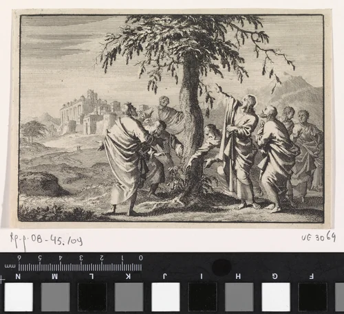 Christus en het teken van de vijgenboom by Jan Luyken, print, 1703
