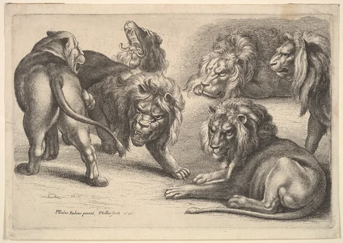 Six Lions in Various Poses by Wenceslaus Hollar, print, 1646