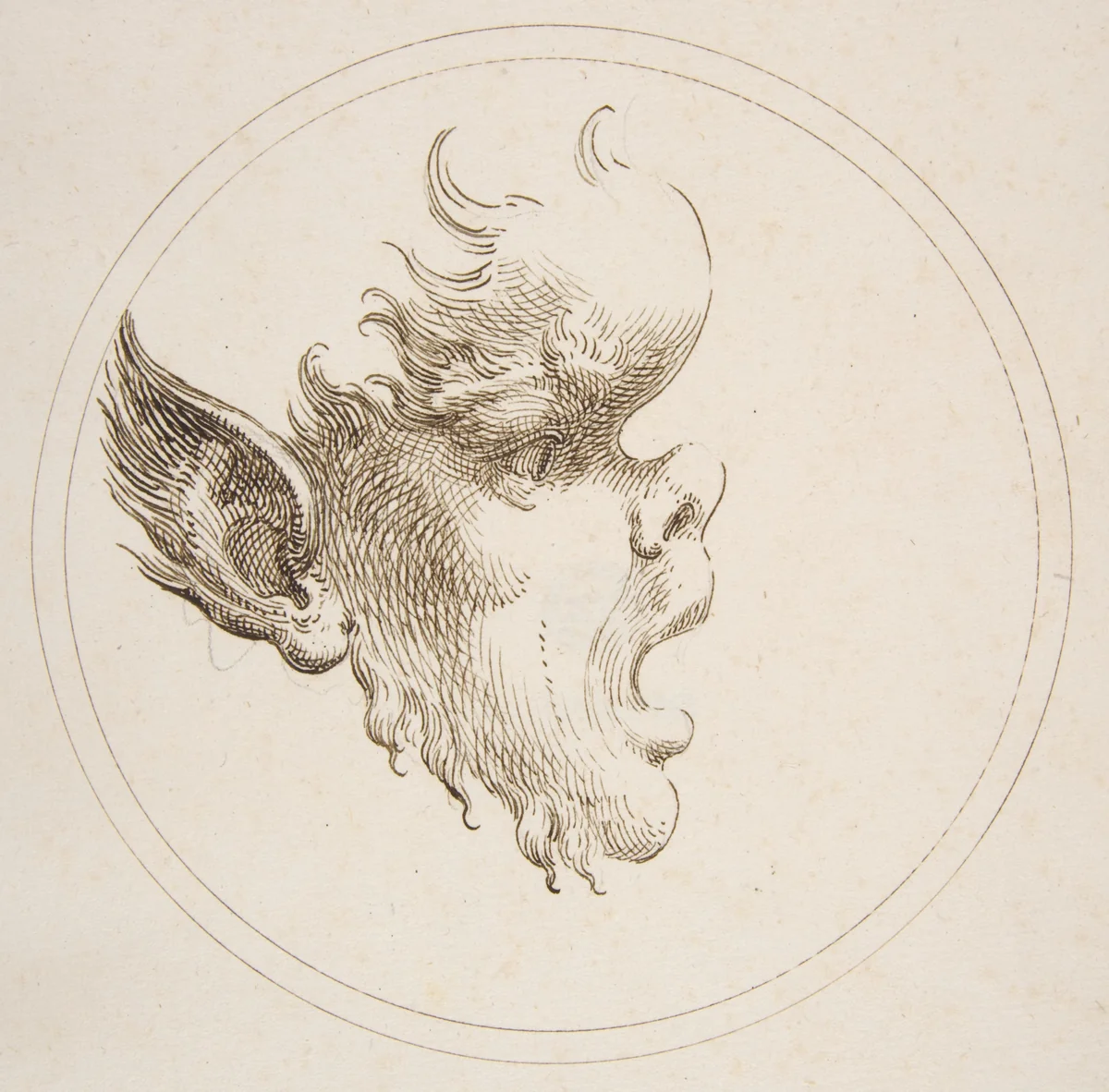 Grotesque Head With a Bulging Forehead Looking to the Right Within a Circle by Gaetano Piccini, drawing, 1727