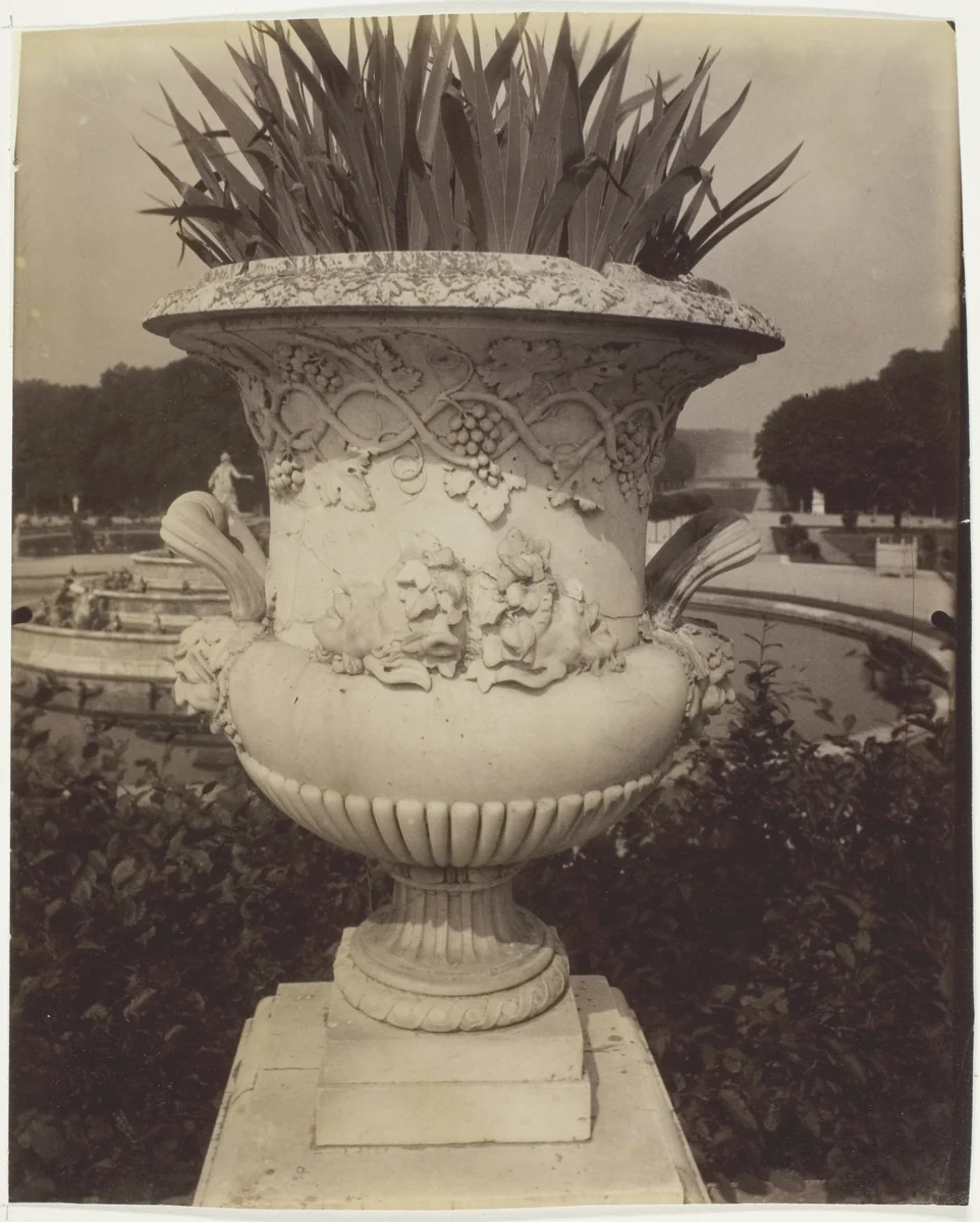 Versailles, Vase by Jean-Eugène-Auguste Atget, photograph, 1905