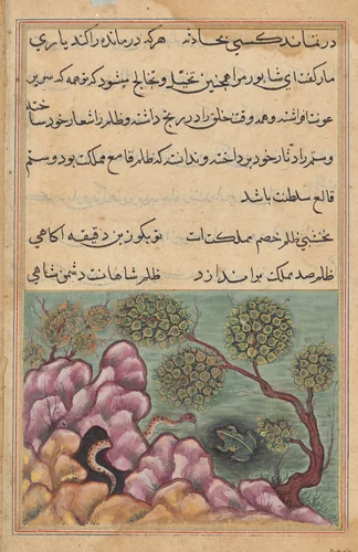 The dethroned frog Shapur seeks the help of the serpent, from a Tuti-nama (Tales of a Parrot): Twenth-sixth Night by Unknown, painting, 1555-1565