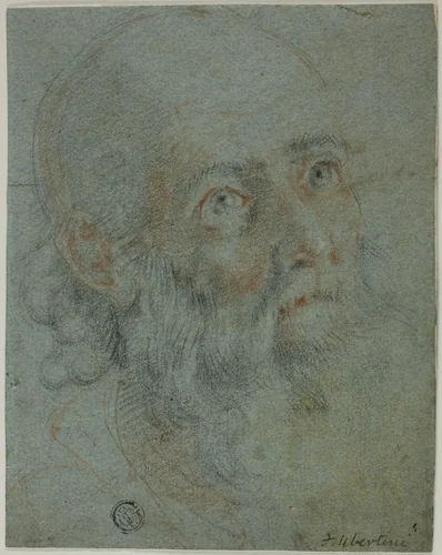 Head of a Bearded Man, Looking Up to Right: Study for Saint Catherine of Alexandria Disputing with the Pagan Priests by Ludovico Cardi, drawing, 1601-1605