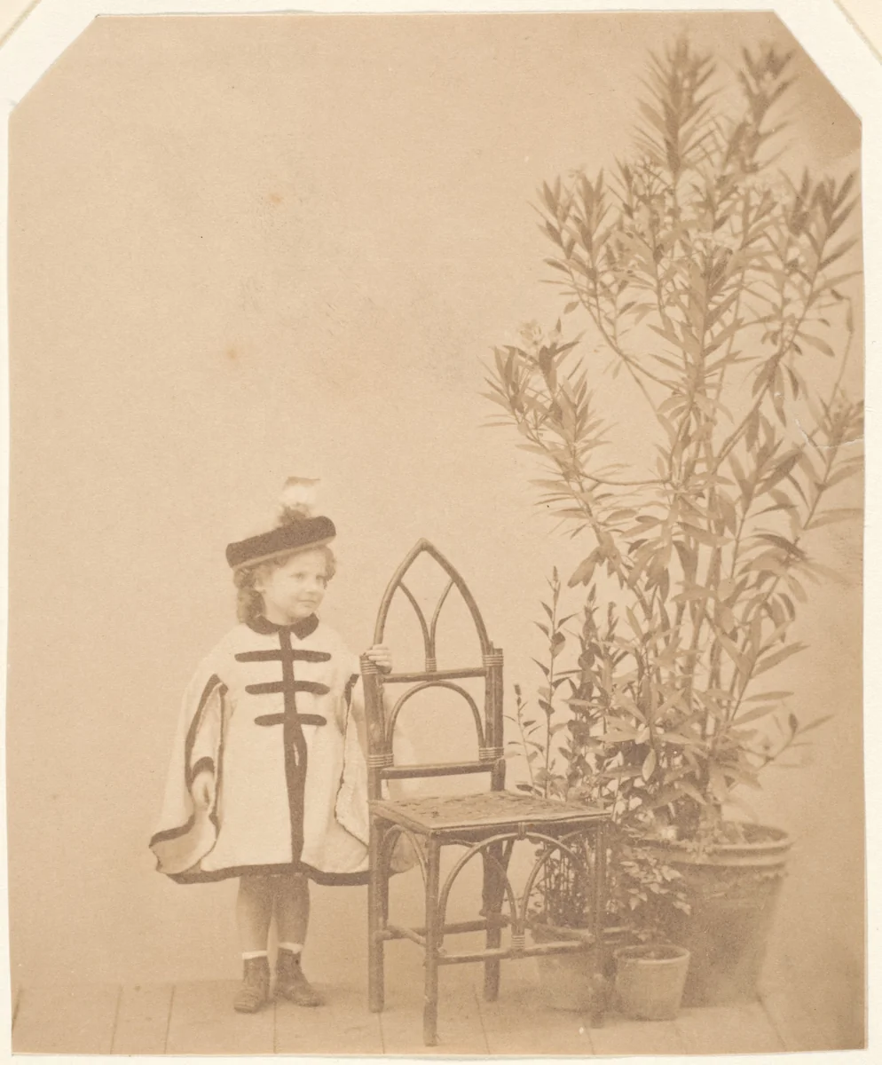 La ?aurier rose by Pierre-Louis Pierson, photograph, 1860-1869
