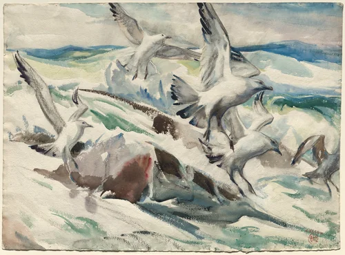 Gulls Feeding by Henry Keller, drawing, 1927-1928