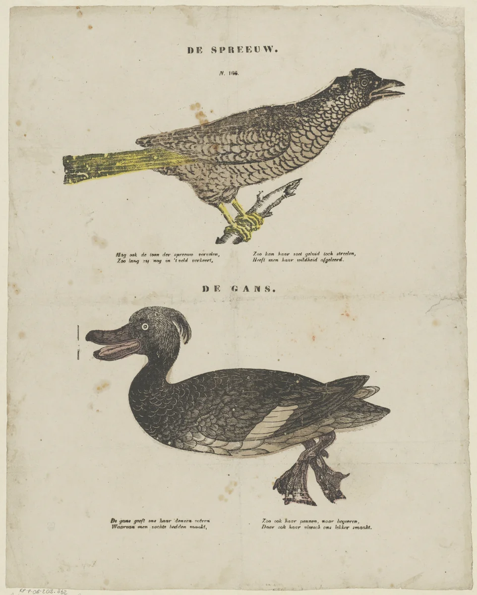 De spreeuw / De gans by Unknown, print, 1555