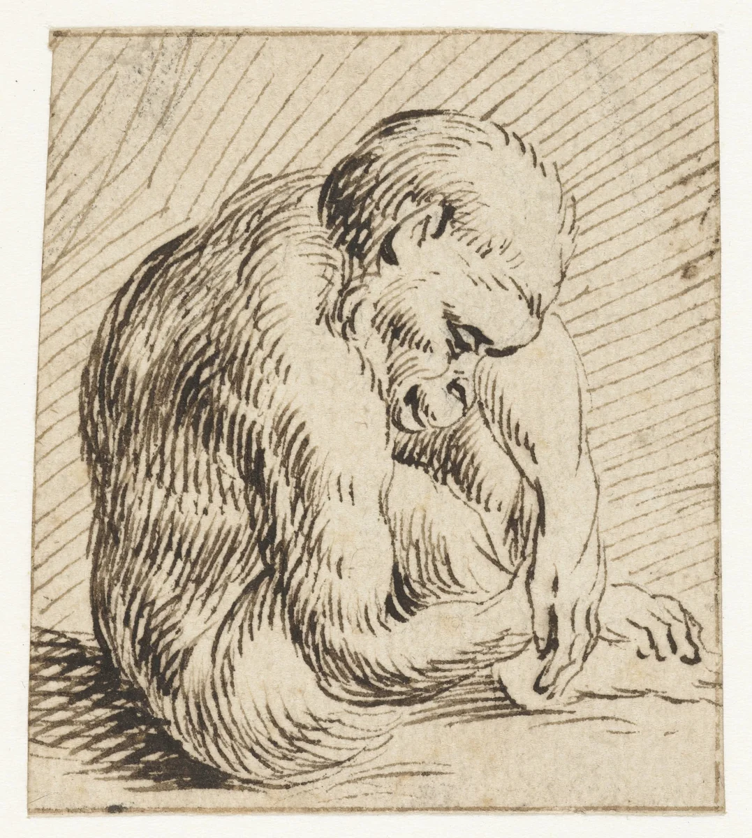 Slapend jong aapje by anonymous, drawing, 1567-1617