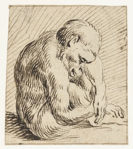 Slapend jong aapje by anonymous, drawing, 1567-1617