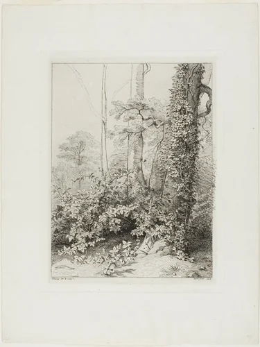 Bramble and Ivy by Eugène Blery, print, 1845