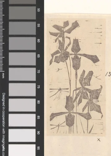 Orchideeën by Mathieu Lauweriks, print, 1895