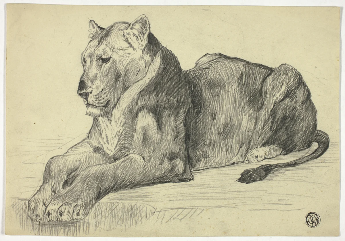 Lioness by Edwin Henry Landseer, drawing, 1800-1899