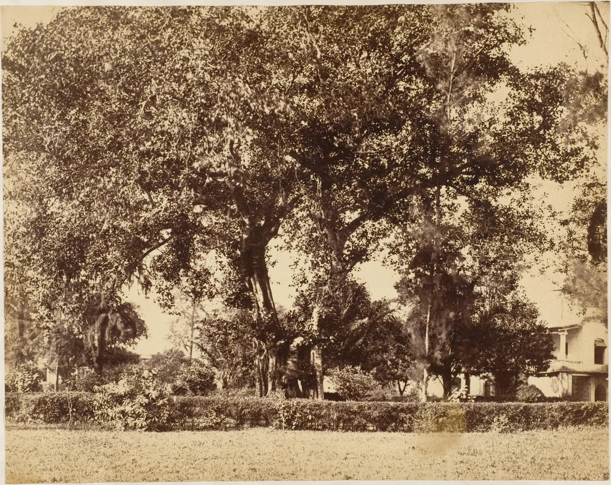 View From Our Garden, Dum Dum by R. B. Hill, photograph, 1850-1859