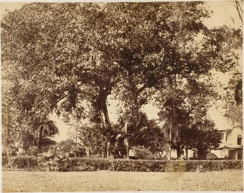 View From Our Garden, Dum Dum by R. B. Hill, photograph, 1850-1859