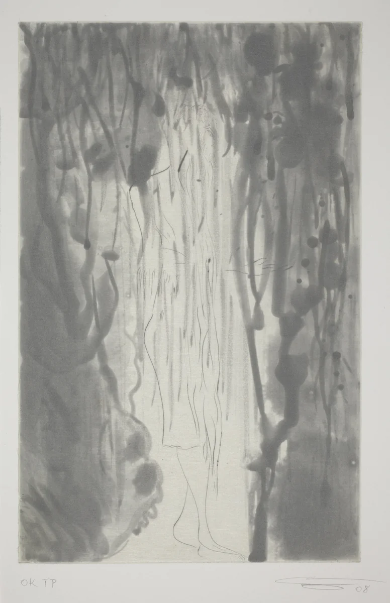 Rainbow - Grey Seale by Chris Ofili, print, 2008