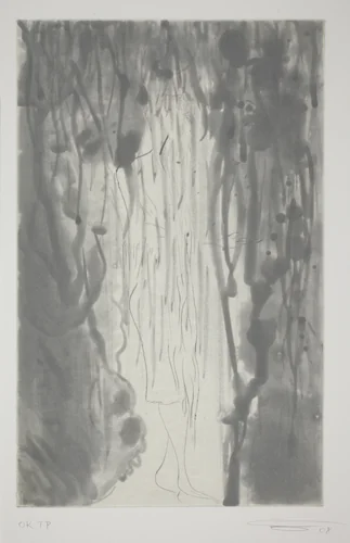 Rainbow - Grey Seale by Chris Ofili, print, 2008