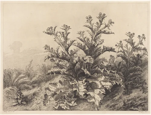 Large Thistle by Eugène Bléry, print, 1843