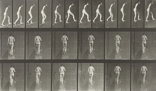Woman Ascending an Incline: Plate 79 from Animal Locomotion (1887) by Eadweard Muybridge, photograph, 1884