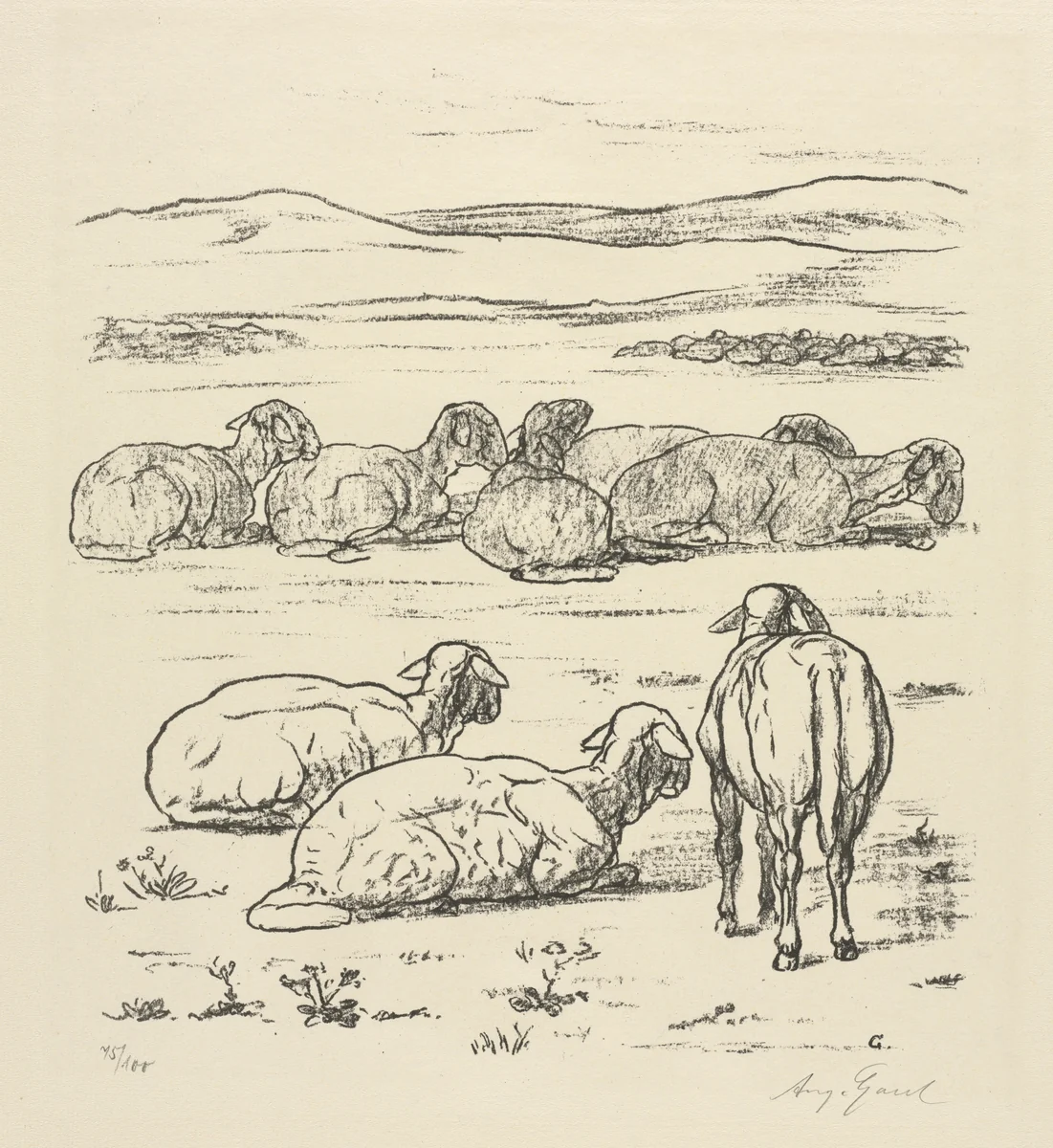 Sheep by August Gaul, print, 1889-1921