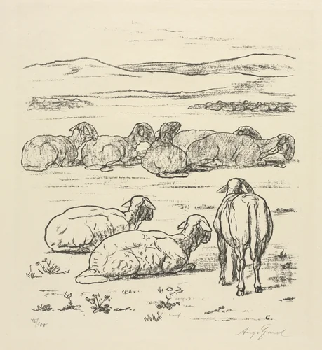 Sheep by August Gaul, print, 1889-1921