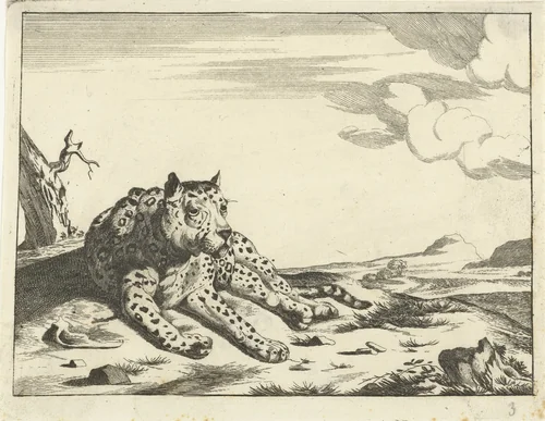 Liggend luipaard, van voren gezien, de poten naar rechts by anonymous, print, 1657-1811