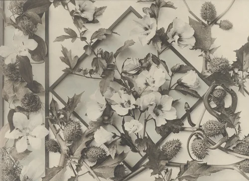 Page from Festons und Dekorative Gruppen by Unidentified Photographer, photograph, 1893