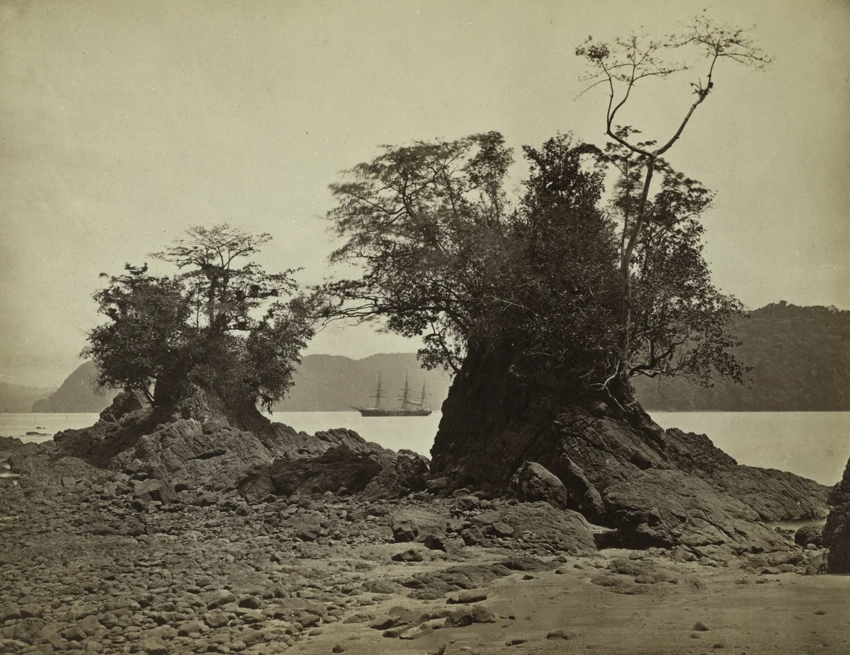Islands in Limón Bay by John Moran, photograph, 1871