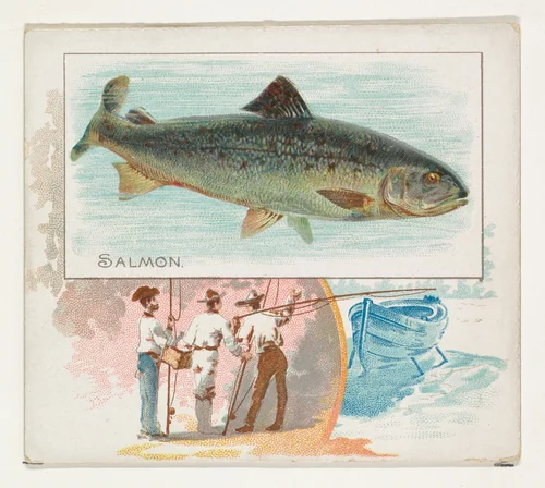 Salmon, from Fish from American Waters series (N39) for Allen & Ginter Cigarettes by Allen & Ginter, print, 1889