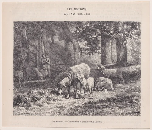Sheep, from "Le Magasin Pittoresque" by Charles Jacque, print, 1848-1864