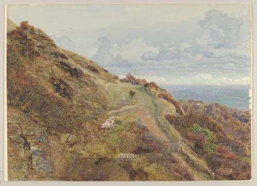 Bonchurch Downs by John Brett, drawing, 1865