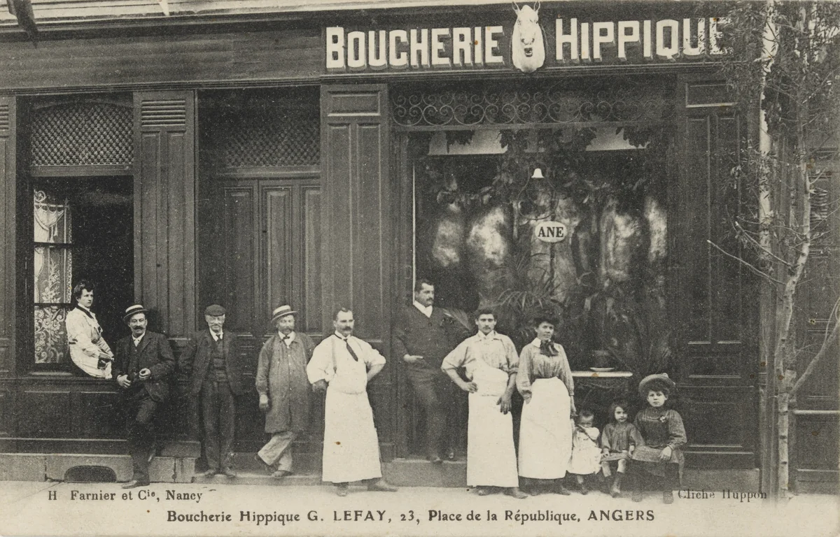 Boucherie hippique, Angers by Unidentified Photographer, photograph, 1907