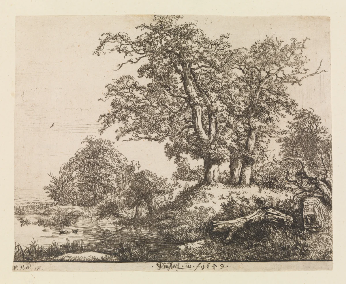 The Three Oaks by Jacob van Ruisdael, print, 1640-1682